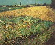 Vincent Van Gogh Wheat Field with the Alpilles Foothills in the Background (nn04) Spain oil painting reproduction